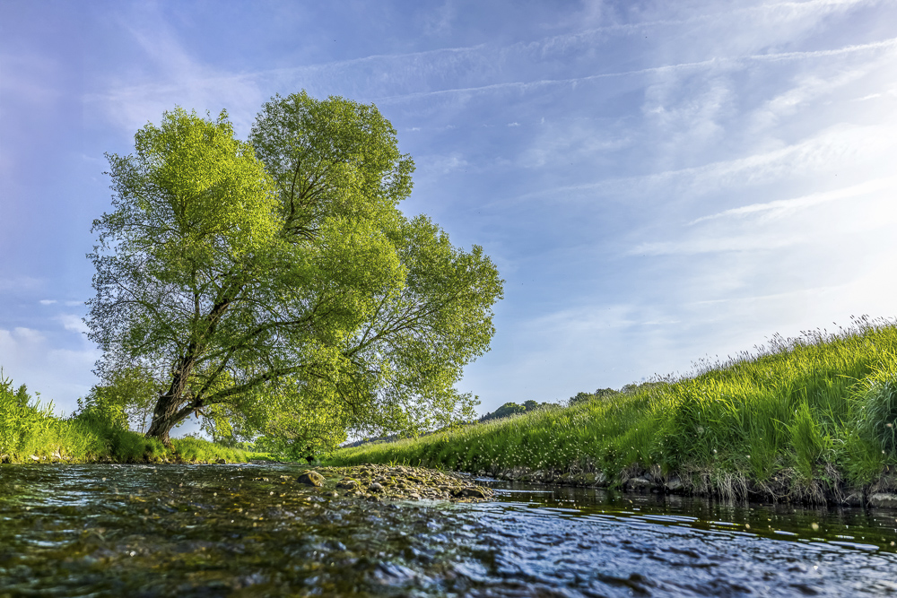 Platz 4 Conny Kleiner